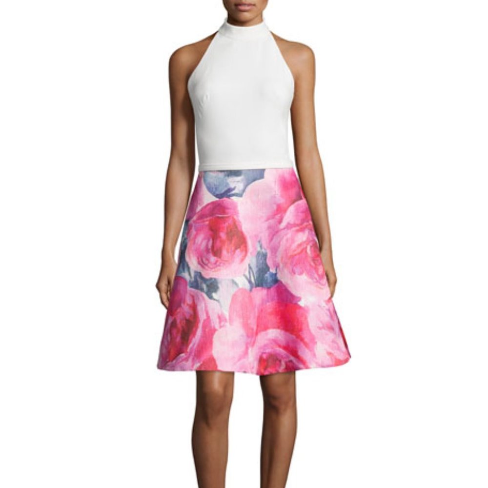 Theia Sleeveless Combo Dress